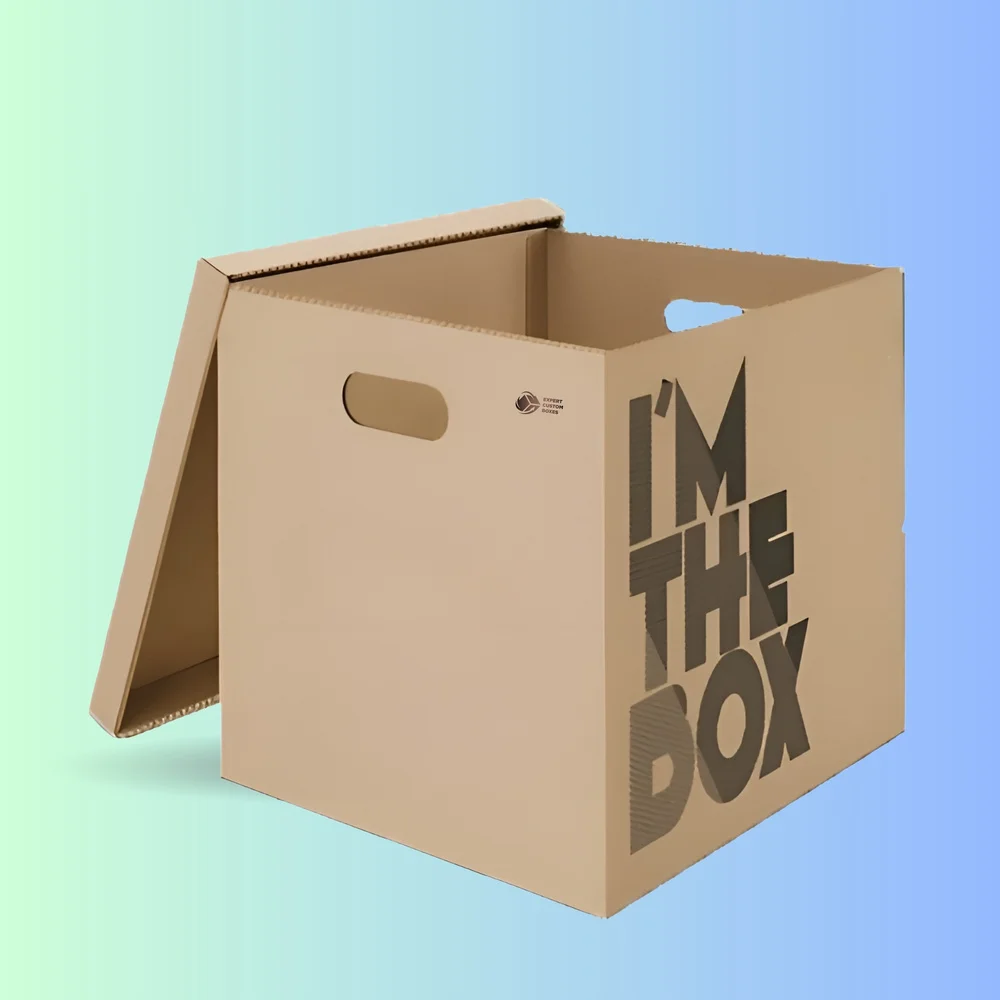 cadboard-boxes.webp