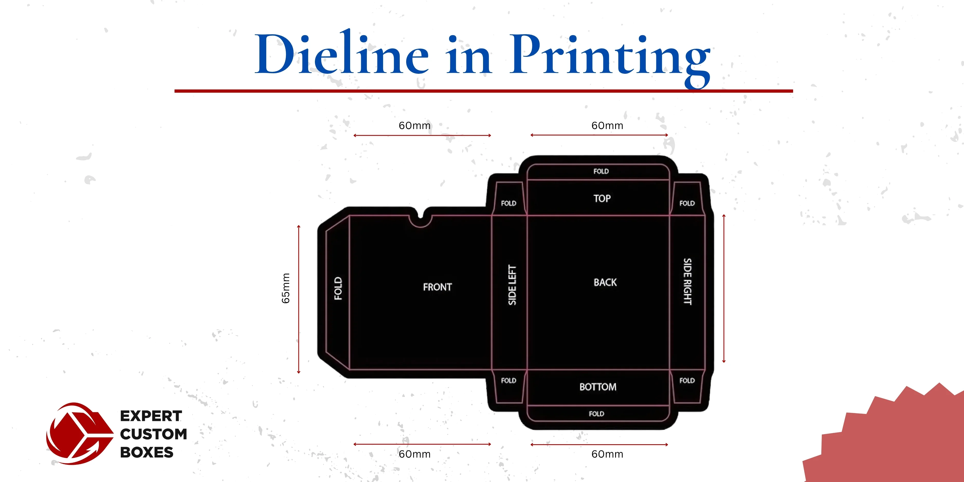 What is a Dieline in Printing & Packaging?