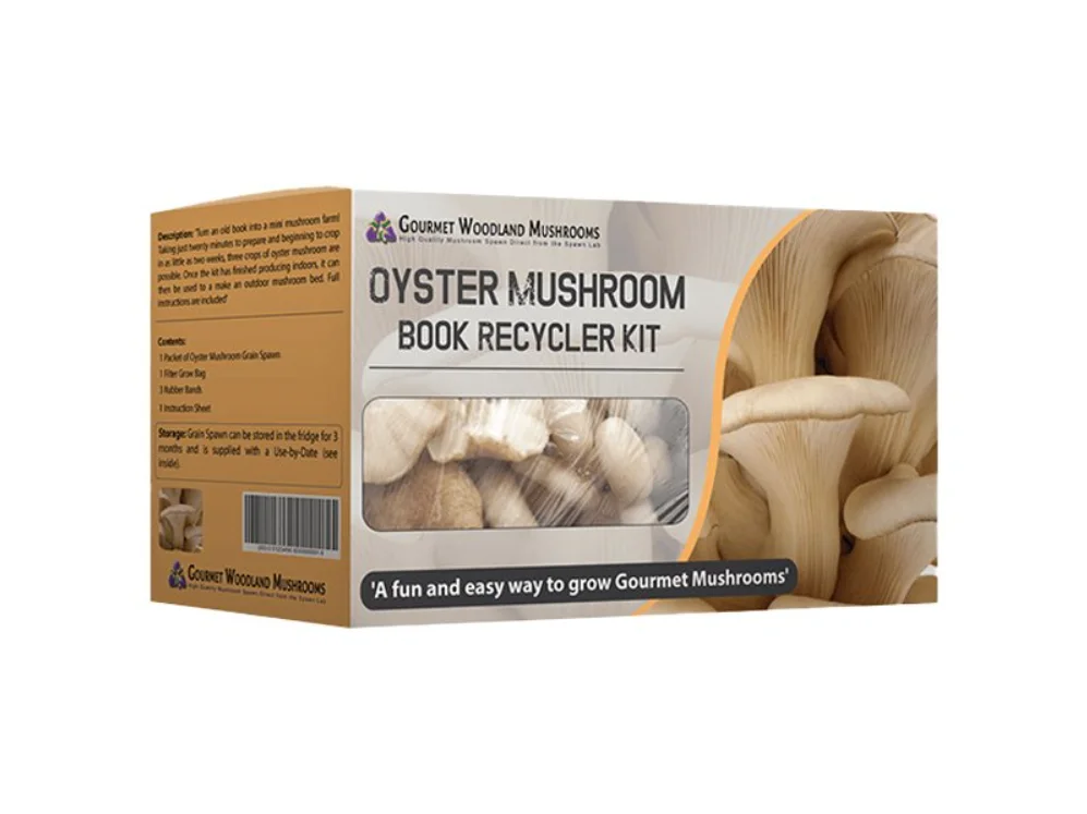 mushroom-box-2.webp