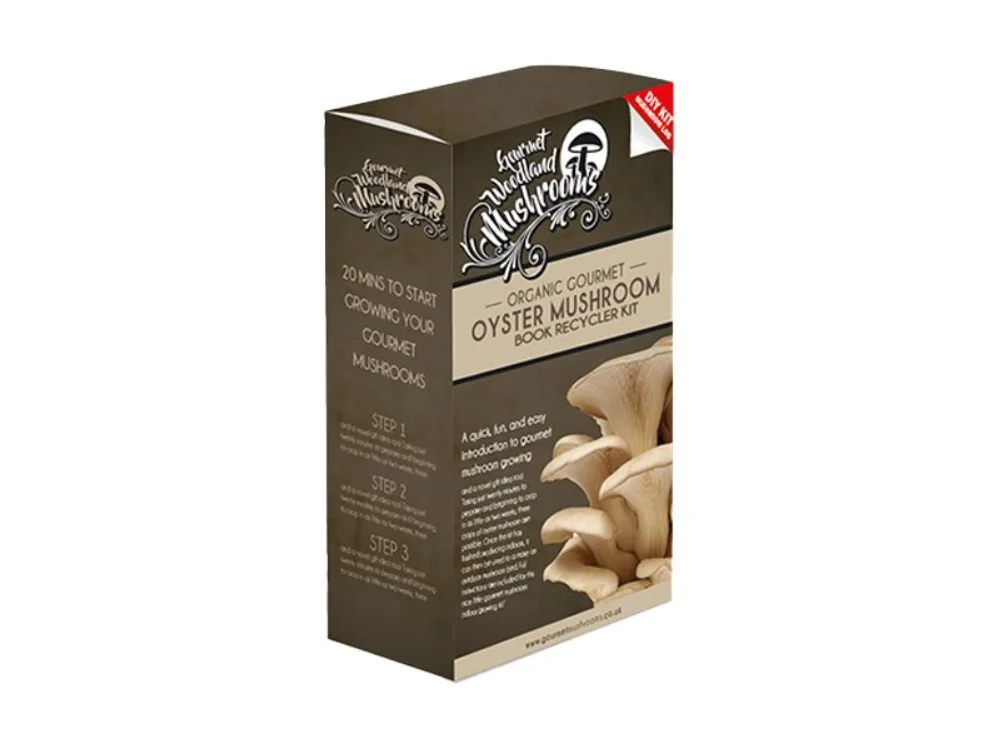 mushroom-box-3.webp