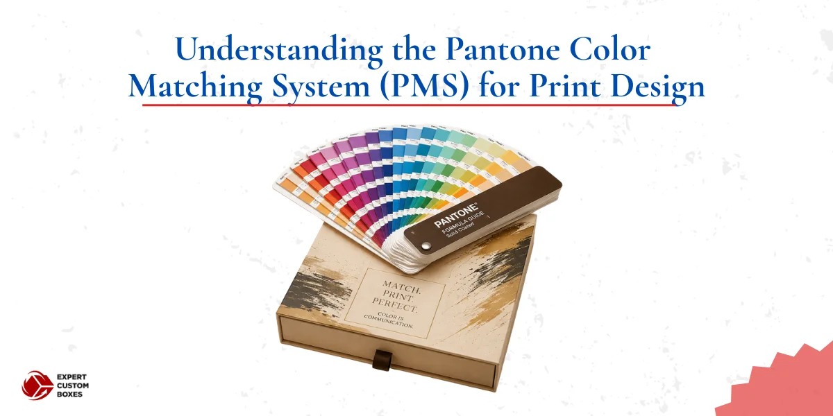 What Is the Pantone Color Matching System (PMS)? Complete Guide for Packaging 