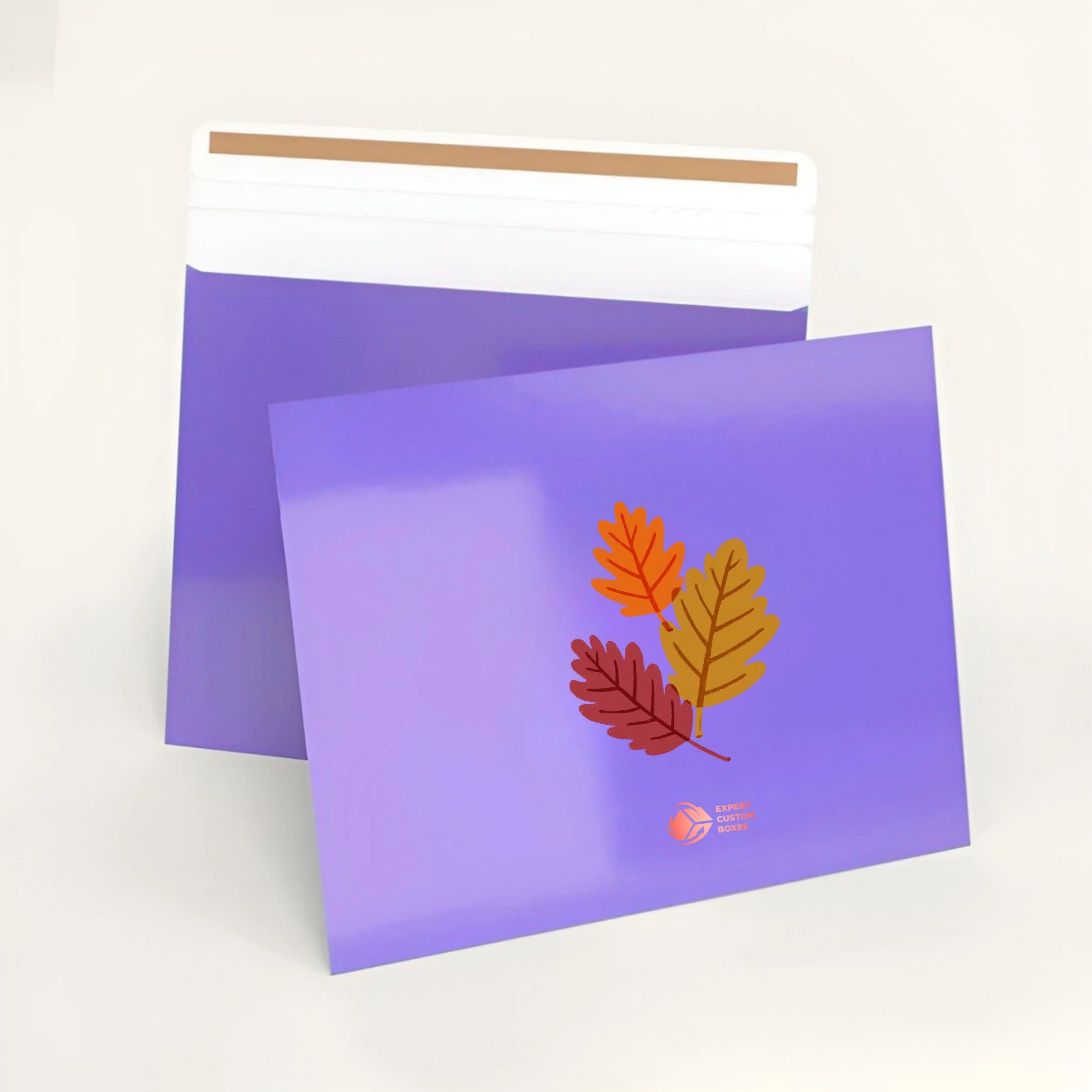 rigid-mailers.webp