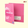 6 x 9 Pocket Folders 