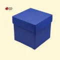 Custom Printed Blue Boxes
