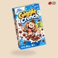 Custom Printed Funny Cereal Boxes