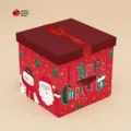 Premium Christmas Boxes