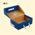 Handle Boxes with Handle