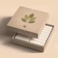 Eco Friendly Kraft Soap Boxes