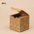 Custom Kraft Tuck Top Boxes