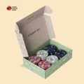 Premium Socks Boxes