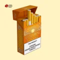 Disposable Cigarette Boxes Wholesale