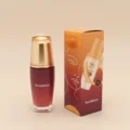 Foundation Boxes Wholesale