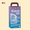 Mushroom Boxes
