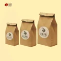 Eco Friendly Paper Bag