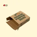 Seed Boxes